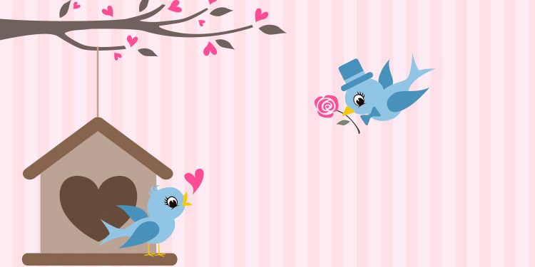 2019.02.08-KCM-Share