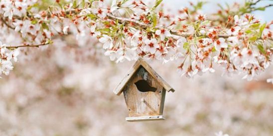 20190327-Share-KCM-549×300 Cobb Realty Tallahassee Real Estate