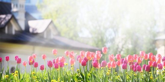 Share-KCM-549×300 Cobb Realty Tallahassee Real Estate