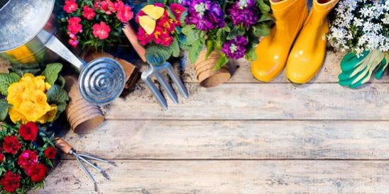 Cobb Realty Tallahassee Real Estate