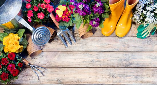 Cobb Realty Tallahassee Real Estate