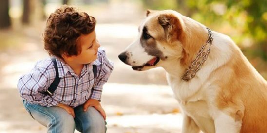 Cobb Realty Tallahassee Real Estate