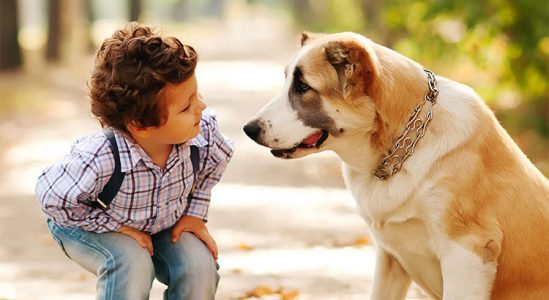 Cobb Realty Tallahassee Real Estate