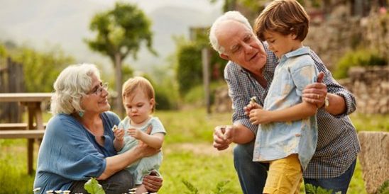 Cobb Realty Tallahassee Real Estate