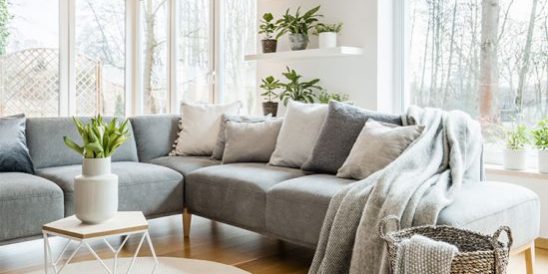 Cobb Realty Tallahassee Real Estate