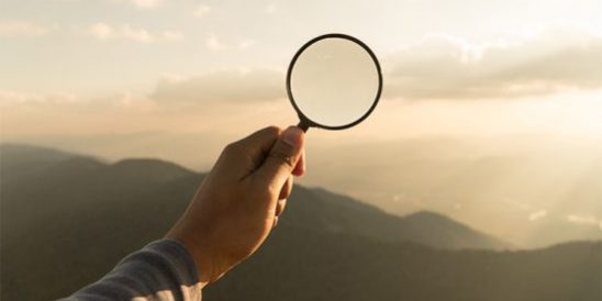 Cobb Realty Tallahassee Real Estate