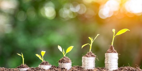 20190801-Share-KCM-2-549×300 Cobb Realty Tallahassee Real Estate