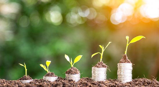 Cobb Realty Tallahassee Real Estate