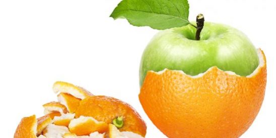 Tallahassee Real Estate