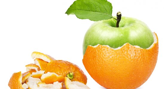 Tallahassee Real Estate