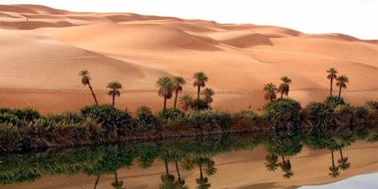 20211018-KCM-Share-549×300-1