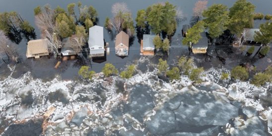 20220126-KCM-Share-549×300-1