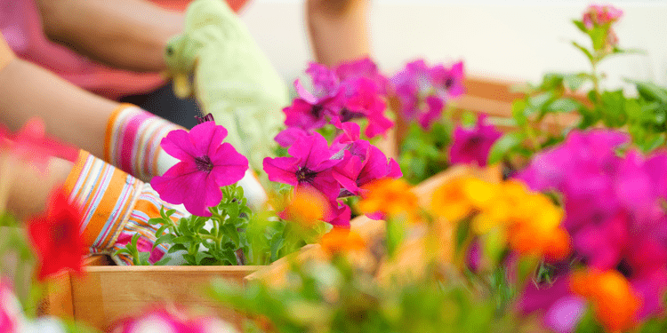 20250324-4-Things-To-Expect-From-the-Spring-Housing-Market-original